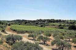 Pézenas : Mediterranean charm