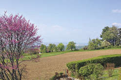Living at the foot of Le Salève
