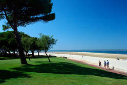 Rising demand for Arcachon