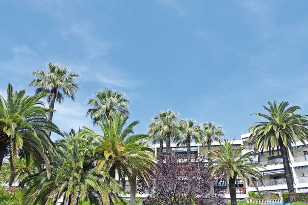 CANNES - Annonce Appartement à vendre 4 pièces - 121 m² CANNES - Annonce Appartement à vendre 4 pièces - 121 m²