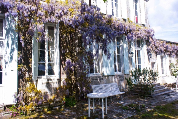 LA GRIPPERIE ST SYMPHORIE - Annonce Maison à vendre 13 pièces - 500 m² LA GRIPPERIE ST SYMPHORIE - Annonce Maison à vendre 13 pièces - 500 m²