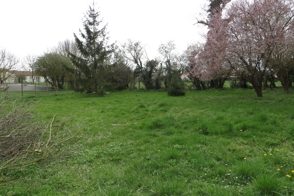 SEMUSSAC - Annonce terrain à vendre 549 m² SEMUSSAC - Annonce terrain à vendre 549 m²