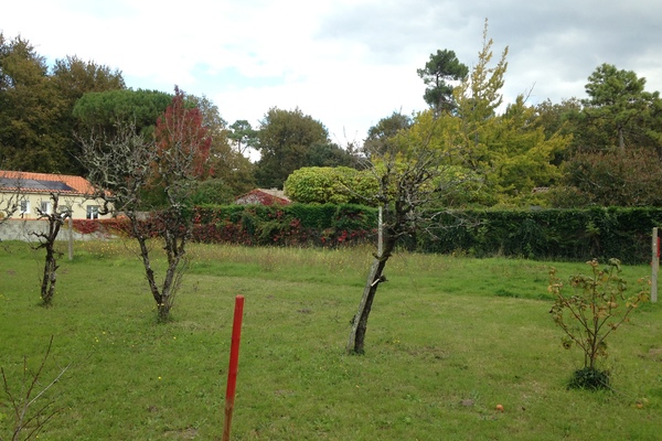 ROYAN - Annonce terrain à vendre 492 m² ROYAN - Annonce terrain à vendre 492 m²