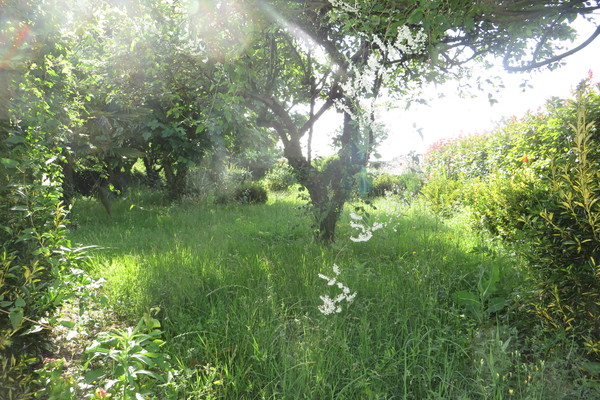 ROYAN - Annonce terrain à vendre 440 m² ROYAN - Annonce terrain à vendre 440 m²