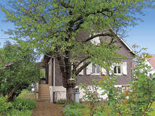 La Robertsau : between town and country