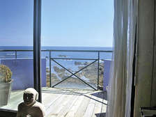 The charms of the Côte Sauvage