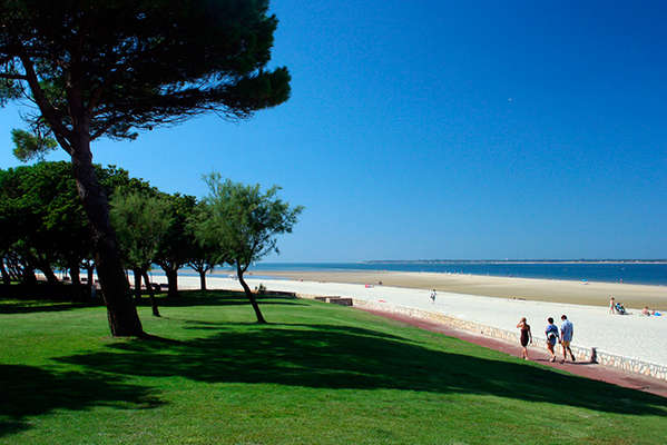 Arcachon, de plus en plus attractive - Theme_2222_1.jpg