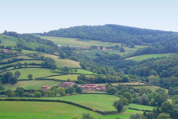 Beaujolais et Bourgogne, une belle dynamique - Theme_2354_1.jpg