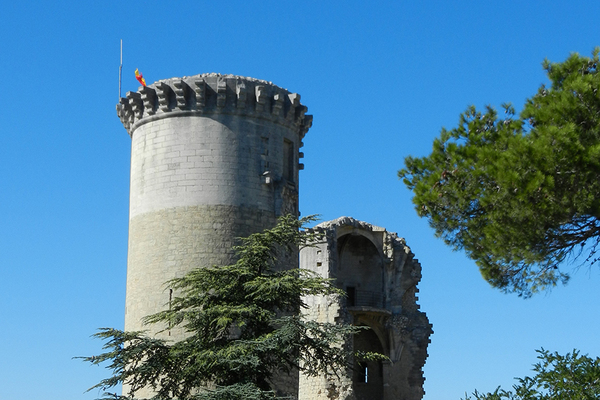 Positionnée entre Saint-Rémy de Provence et Avignon, au pied d’une petite colline, Châteaurenard est une charmante commune possédant tous les atouts d’une ville à la campagne.