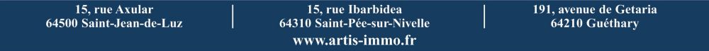 ARTIS IMMOBILIER