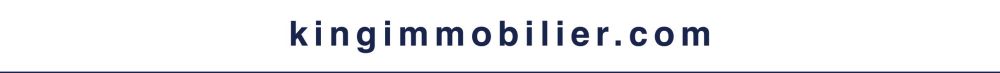 WF KING IMMOBILIER