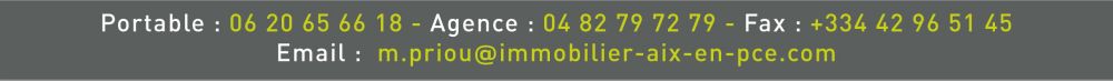 IMMOBILIERE PRIOU & CO