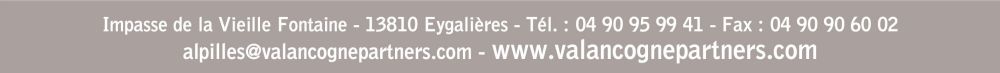 VALANCOGNE & PARTNERS