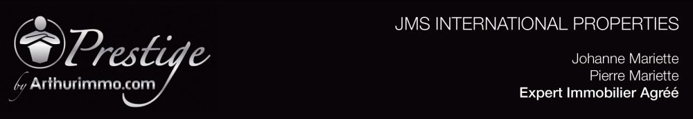 JMS INTERNATIONAL PROPERTIES