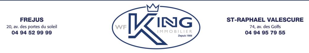 WF KING IMMOBILIER