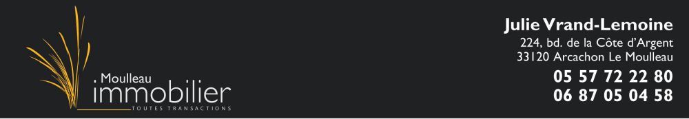 MOULLEAU IMMOBILIER