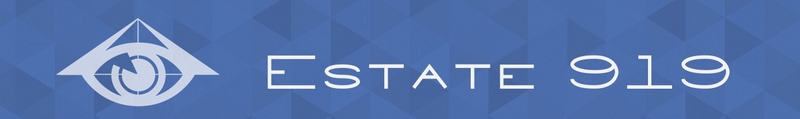 logo agence