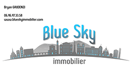 Blue Sky immobilier 