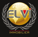 Logo AGENCE ELVI