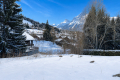Maison LES CARROZ-D'ARACHES 4424009_1