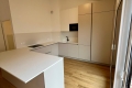 Bien TOULOUSE Saint-Sernin 4443276_3