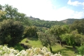 Maison GRIMAUD 2556798_1