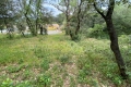 terrain SABRAN 2558705_0