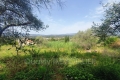 Building plot MOUANS-SARTOUX Carabacel 2631589_1