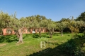 Maison STE-MAXIME 2779931_3