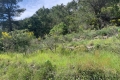 Building plot PEILLE Carabacel 2796580_1