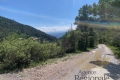 Building plot PEILLE Carabacel 2796580_2