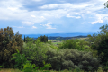 terrain FELINES-MINERVOIS 2857816_0