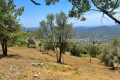 Building plot CABRIS Carabacel 2892284_3