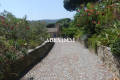 Maison RAMATUELLE 2900313_3