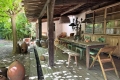 Maison COGOLIN 2935487_0