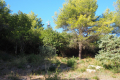 Building plot LA TURBIE Carabacel 2954407_3