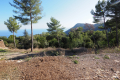 Building plot LA TURBIE Carabacel 2954409_3