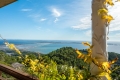 Maison CARQUEIRANNE 2963217_3