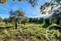 terrain OPIO 3008503_0
