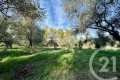terrain OPIO 3008503_1