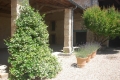 Maison CORDES-SUR-CIEL 3028705_2