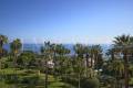 Appartement CANNES 3176639_1