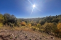 terrain LA ROQUETTE-SUR-SIAGNE 3239306_2