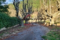 Maison BESSEGES 3239110_3