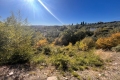 terrain LA ROQUETTE-SUR-SIAGNE 0 pi&egrave;ces 3239306_3