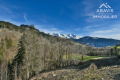 terrain LE GRAND-BORNAND 3239739_1