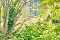 Maison SALON-DE-PROVENCE 3262305_1