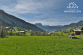 terrain LE GRAND-BORNAND 3268669_2