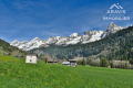 terrain LE GRAND-BORNAND 3268669_3