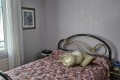 Appartement MARSEILLE 8EME 3357876_2